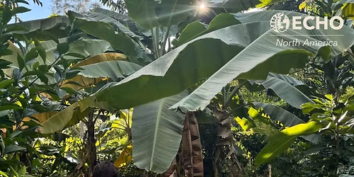 Introduction to Tropical Agriculture Development - Training Event