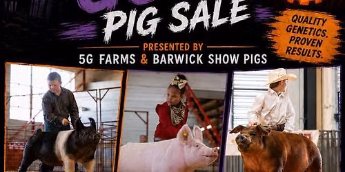 The Wicked Good Pig Sale