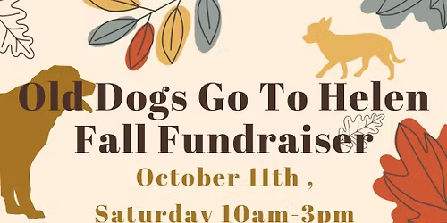 Old Dogs Go To Helen Fall Fundraising Fair 