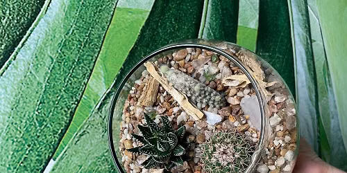 Prickles and Pots Planting Workshop 