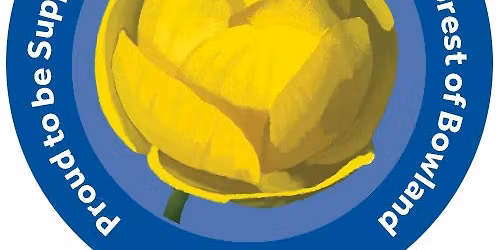 Bowland Champion Species: Globeflower Day