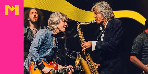 The Dire Straits Experience in Enschede