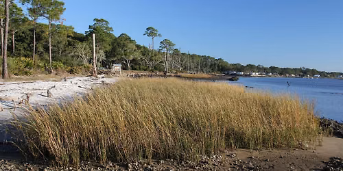 Living Shorelines Workshop