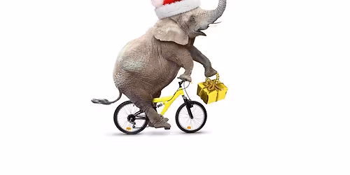 White Elephant Gift Exchange at the Back Nine