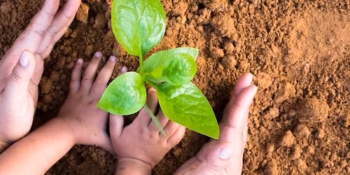 Plant Needs: Air All Around Us \u00b7 June Seeds to Sprouts