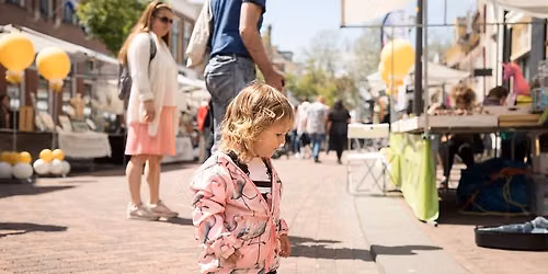 Zeldzaam Mooi event Laarstraat in Zutphen