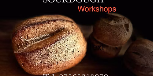 Master the Art - Gluten Free Sourdough