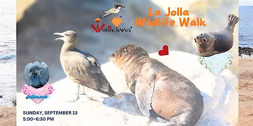 Wildlife Jewels La Jolla Wildlife Walk
