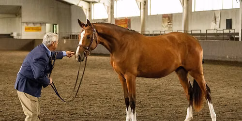 Cup Qualifiers - Governor General, Lieutenant Governor and Pony Cups