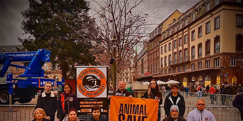 STRASBOURG - SAVE SQUARE 19