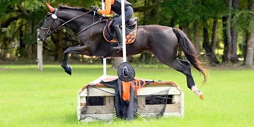 Halloween derby @ Ocala Fla Eventing