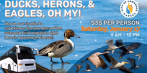 Ducks, Herons and Eagles, Oh My!