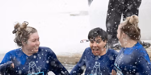 2026 Rochester Polar Plunge