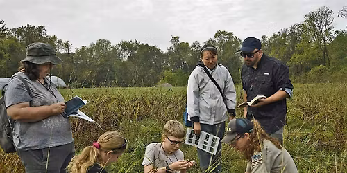 Flora Field Day: Underwood Park