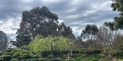 Forest Bathing Himeji Gardens