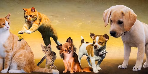 Fecal Microbiome: The Fantastic Flora