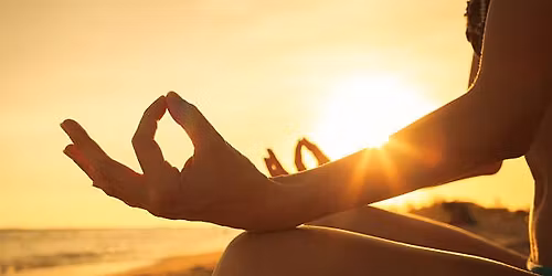 Yoga at the Liriodendron