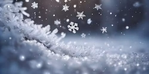 Winterfest Craft & Vendor Show 