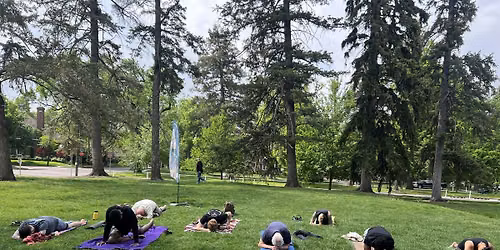 Lifeward Experience: Regenerative Morning Park Yoga