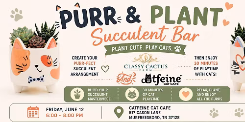 Purr & Plant Succulent Bar
