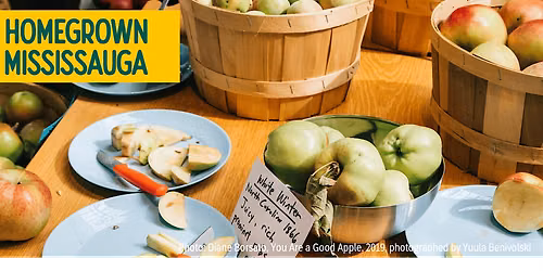Homegrown Mississauga: Apples, Art & Seed Saving