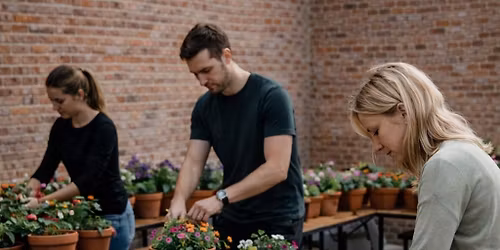 Plant dine sommerblomster hos os