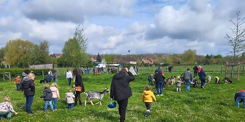 Arriv\u00e9e des animaux \u00e0 la Bassure