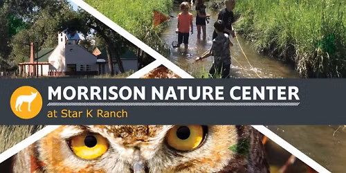 Junior Naturalists - Nocturnal Nature at the Morrison Nature Center