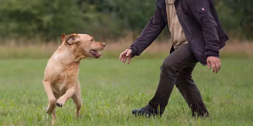 Impulskontrolle & Ruhetraining f\u00fcr Hibbelhunde - Workshop mit Karsten Br\u00fcckner
