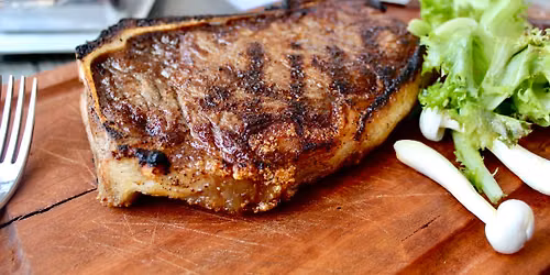 The Carnivore Experience