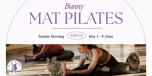 Bunny Mat Pilates