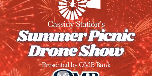 Summer Picnic Drone Show