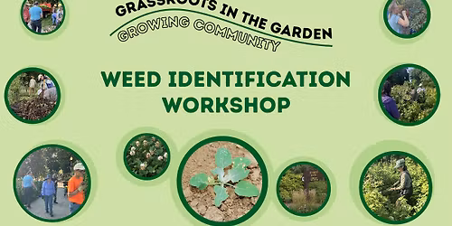 W**d Identification Workshop - Grassroots in the Garden: Growing Community