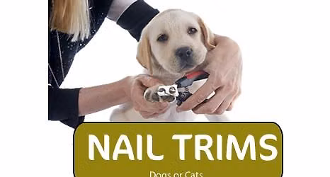 Dog and Cat Nail Trims