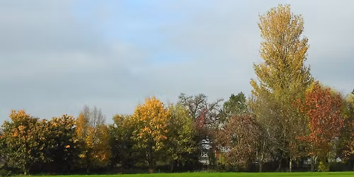 Alvington summer fun day
