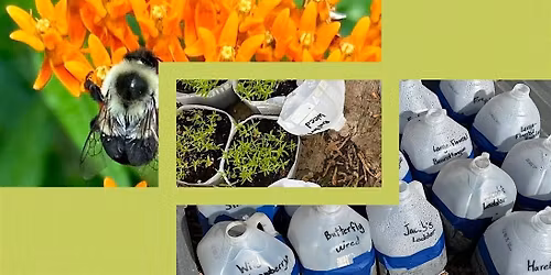 Winter Sowing Native Seed Workshop - Valparaiso Native Plant Group