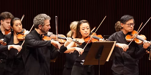 Violins of Hope