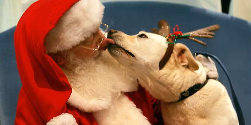 Pet photos with Santa