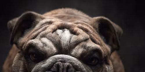 250th USMC Birthday Ball