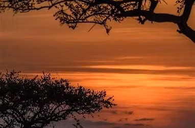 AAA Travel invites you to Explore Africa