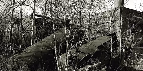 Lecture: The Iron Hand in the Silk Glove