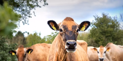 Open Farm Sunday