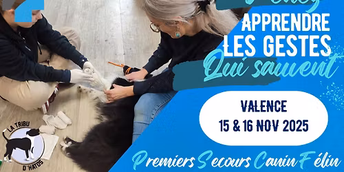 Formation aux Premiers Secours pour Chien et Chat \u00e0 VALENCE