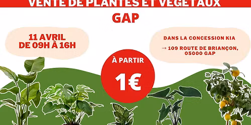 GAP - V\u00e9g\u00e9taux et Plantes \u00e0 partir de 1\u20ac by Plantes Addict