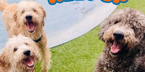 Doodle Meet Up at Mutts & Martinis