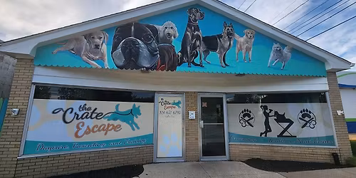 Family & Pet Photos with Santa