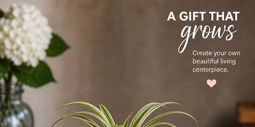Mother\u2019s Day plant living bowls