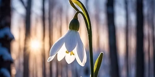 MALVERN HOLISTIC WELLNESS SHOW \u2026 revitalise your mind, body and spirit