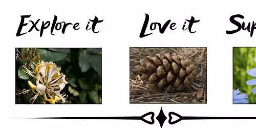 Conservation Work Party