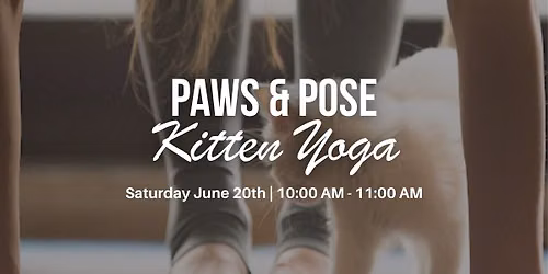 Paws & Pose | Kitten Yoga